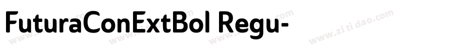 FuturaConExtBol Regu字体转换